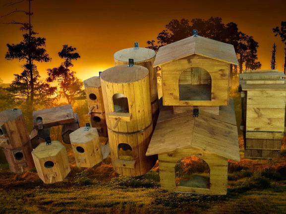 Animal Nesting and Wood Products PTY(Ltd) photo 2